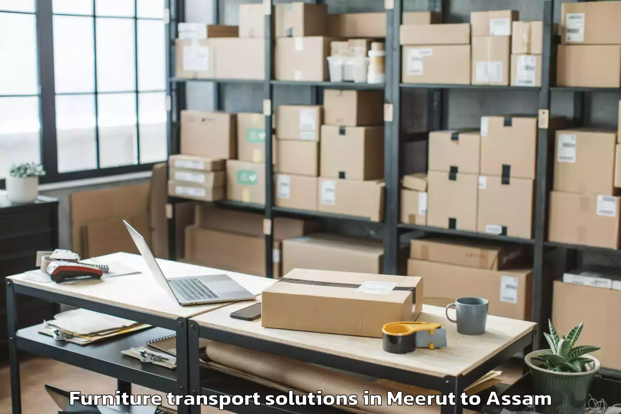 Meerut to Bilasipara Pt Furniture Transport Solutions